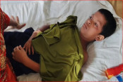 Shornolata
