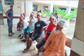 Shornolata