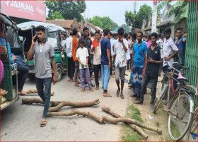 Shornolata